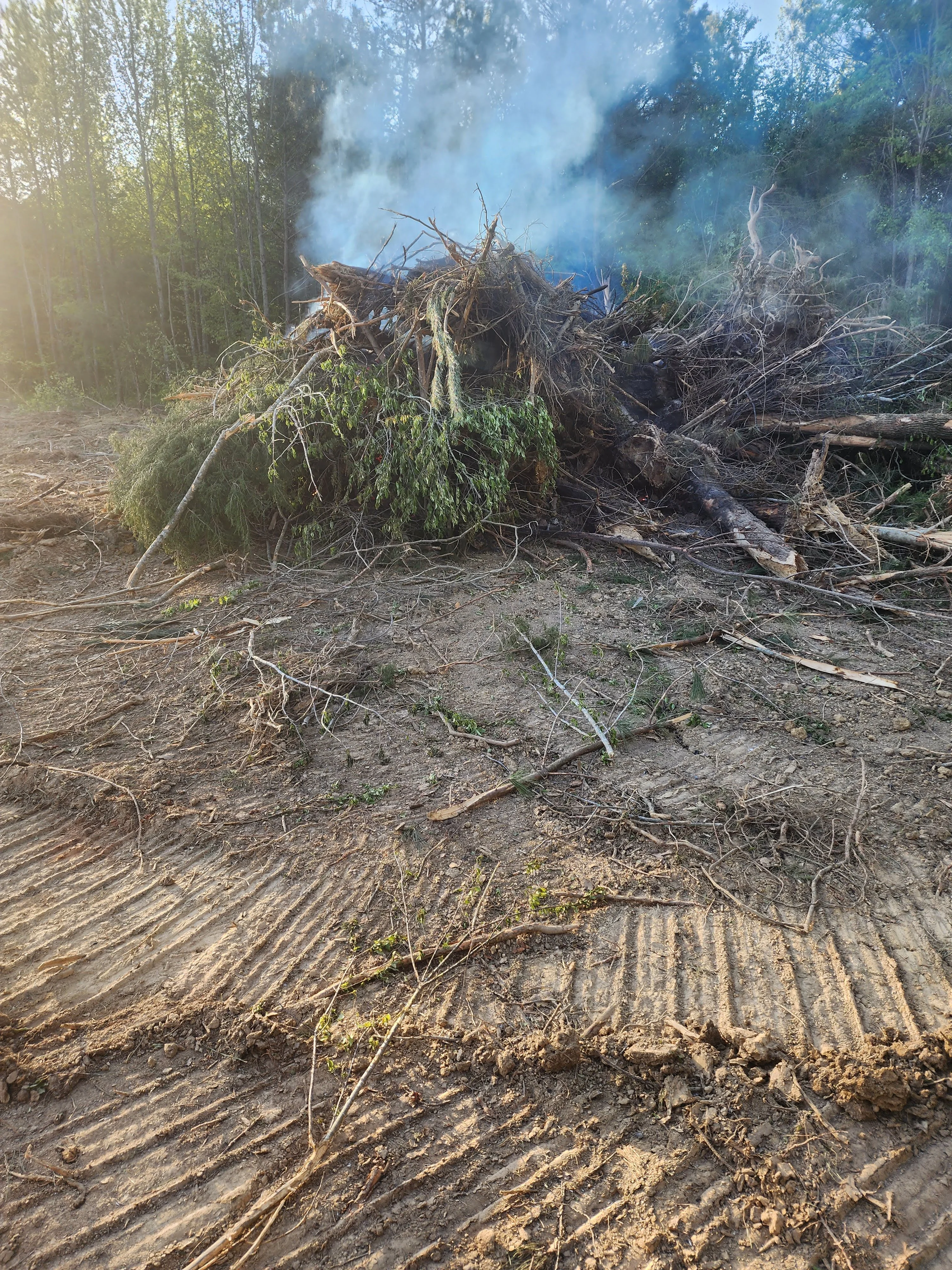Wooded land clearing with burning debris pile and excavated earth in forest setting