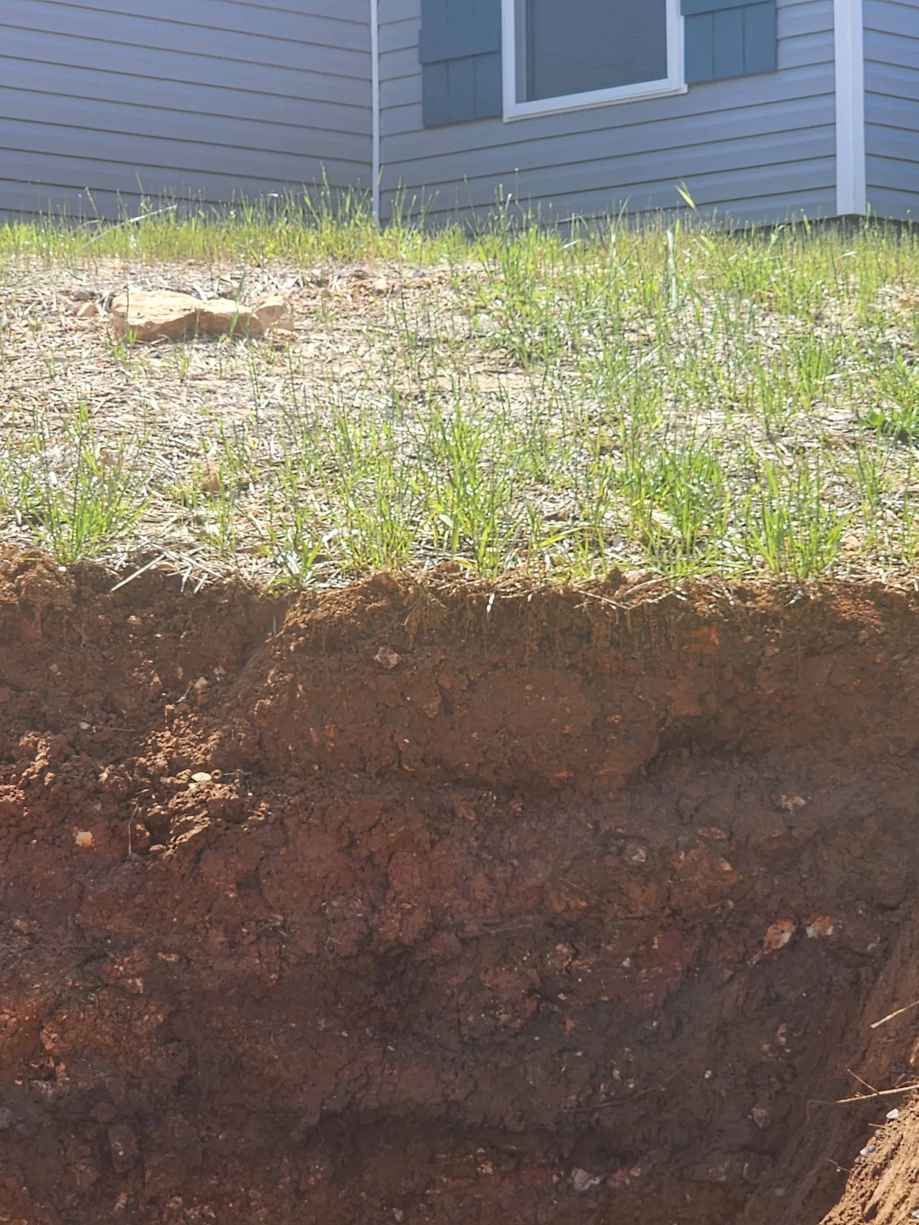 Excavated residential lot showing soil layers, grading work, and newly seeded grass near house foundation